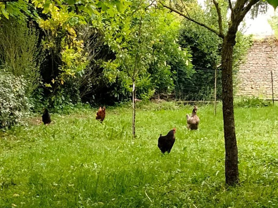 Villa Le Cinq, Au Coeur Du Vexin à Themericourt Extérieur photo